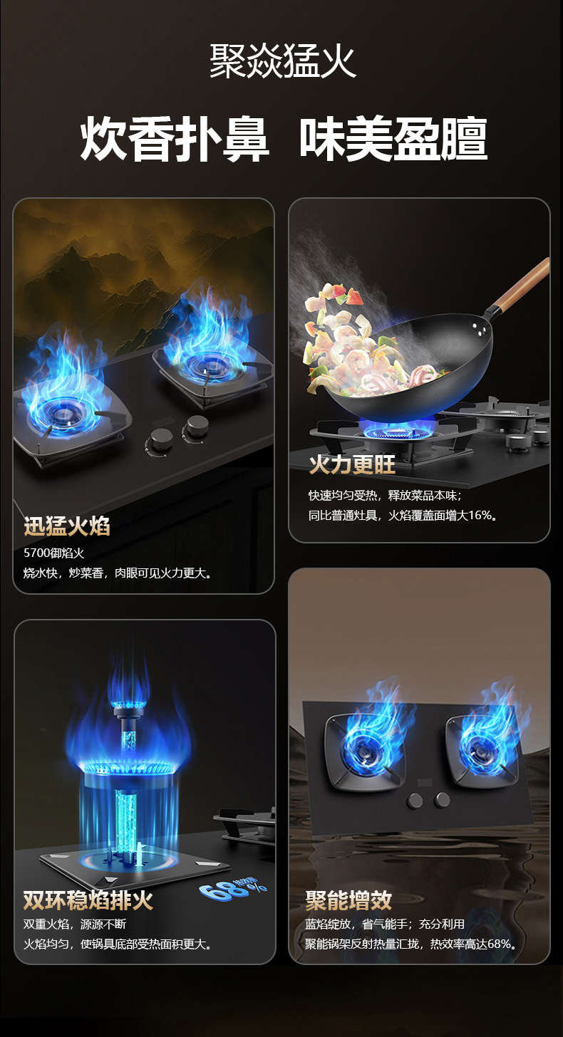 燃氣灶ZB04