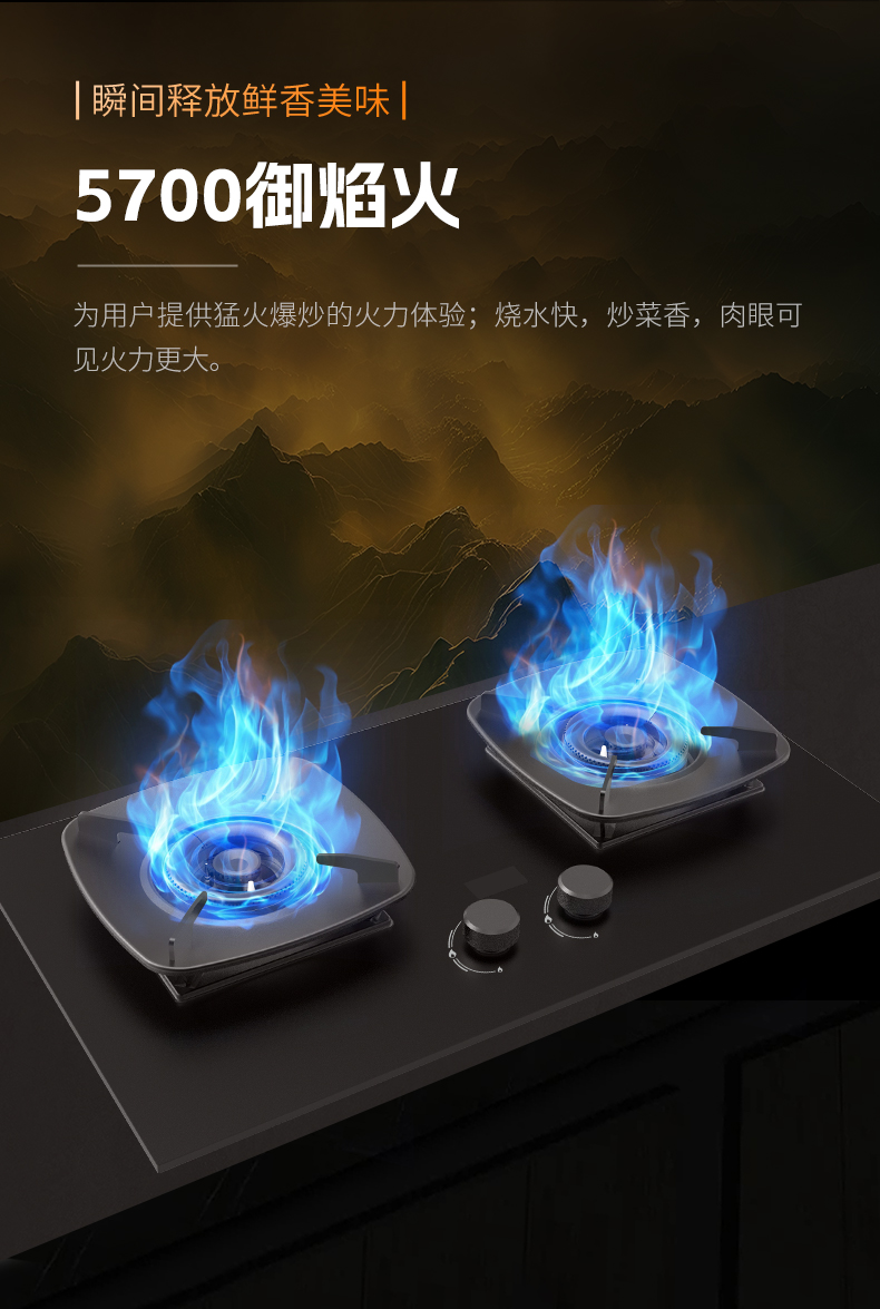 燃氣灶ZB04
